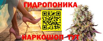 прущие крисы Берёзовский