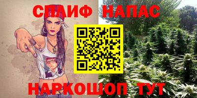 прущие грибы Бийск