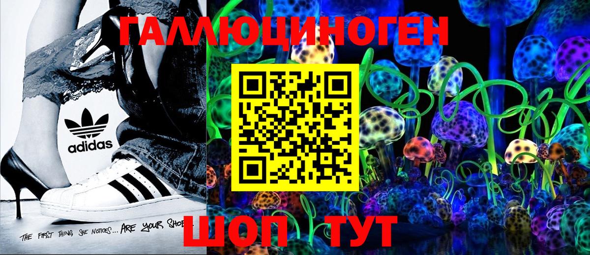 Галлюциногенные грибы мицелий  Вход с VPN  Камышлов 
