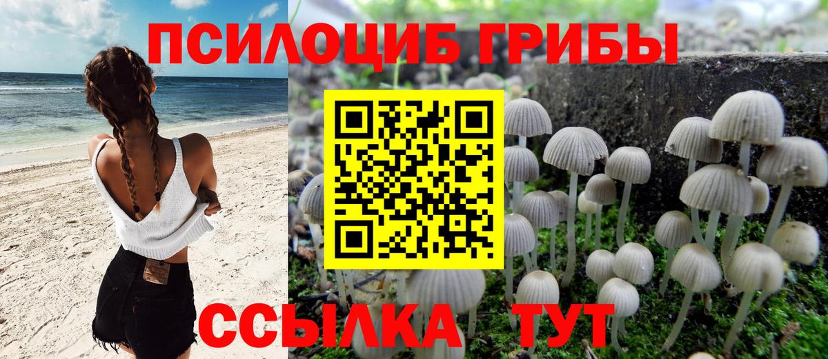 Галлюциногенные грибы Cubensis Камышлов